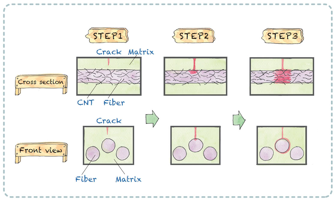 Function of Namd™ in CMC