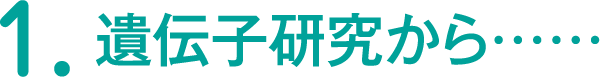 1.遺伝子研究から……