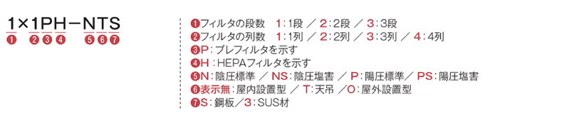 1×1PH-NTS
