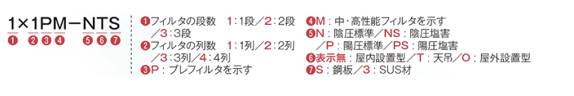 1×1PM-NTS