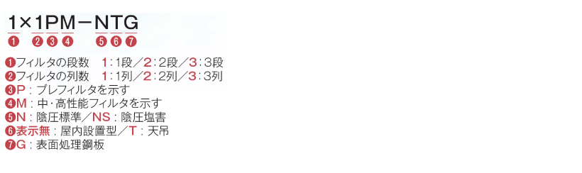 1×1PM-NTG